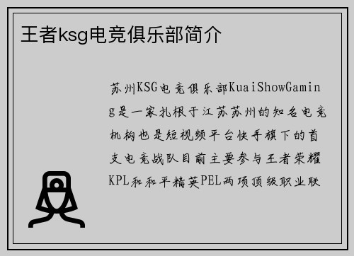 王者ksg电竞俱乐部简介